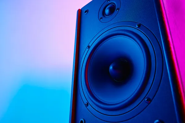 Fotografía de una bocina profesional del audio para posadas de ARLEX